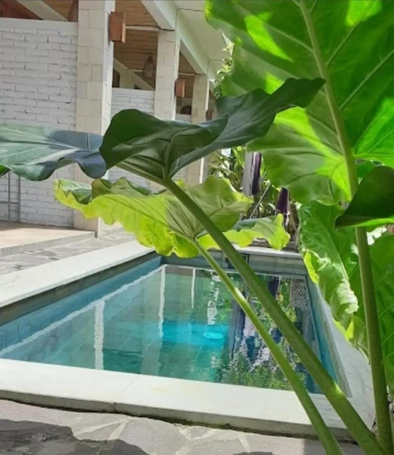 Surya Lombok Accommodation セロング・ベラナク エクステリア 写真