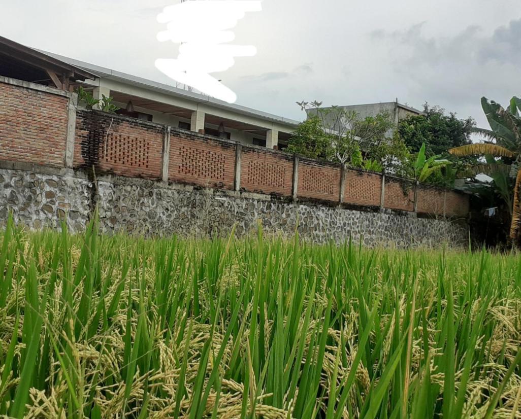 Surya Lombok Accommodation セロング・ベラナク エクステリア 写真