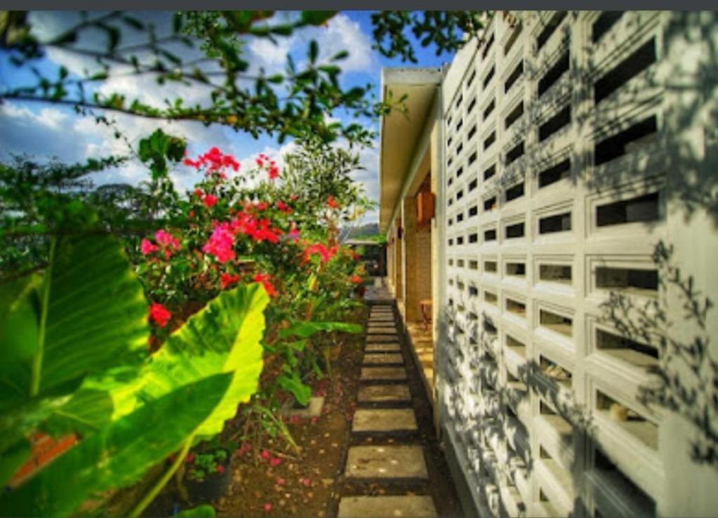 Surya Lombok Accommodation セロング・ベラナク エクステリア 写真